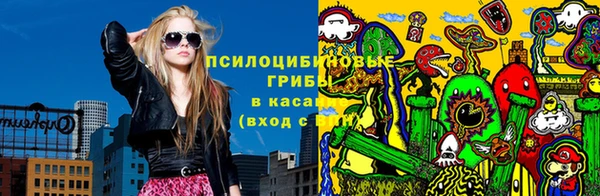 apvp Горно-Алтайск