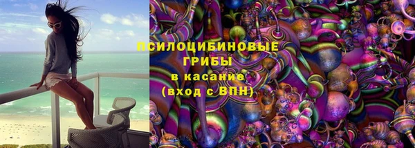 apvp Горно-Алтайск