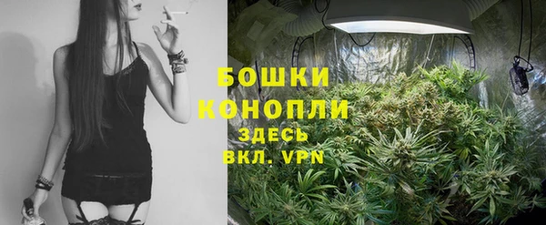 apvp Горно-Алтайск