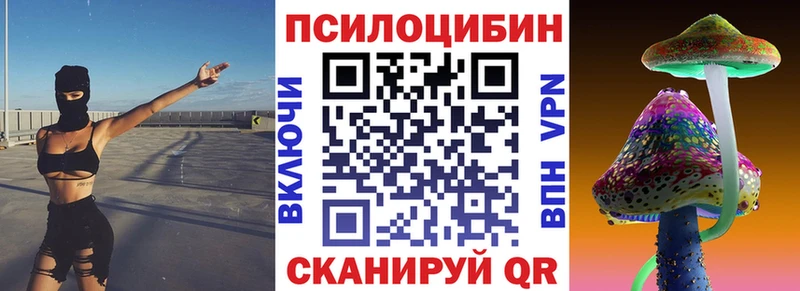 Купить  Кондопога  Псилоцибиновые грибы прущие грибы 